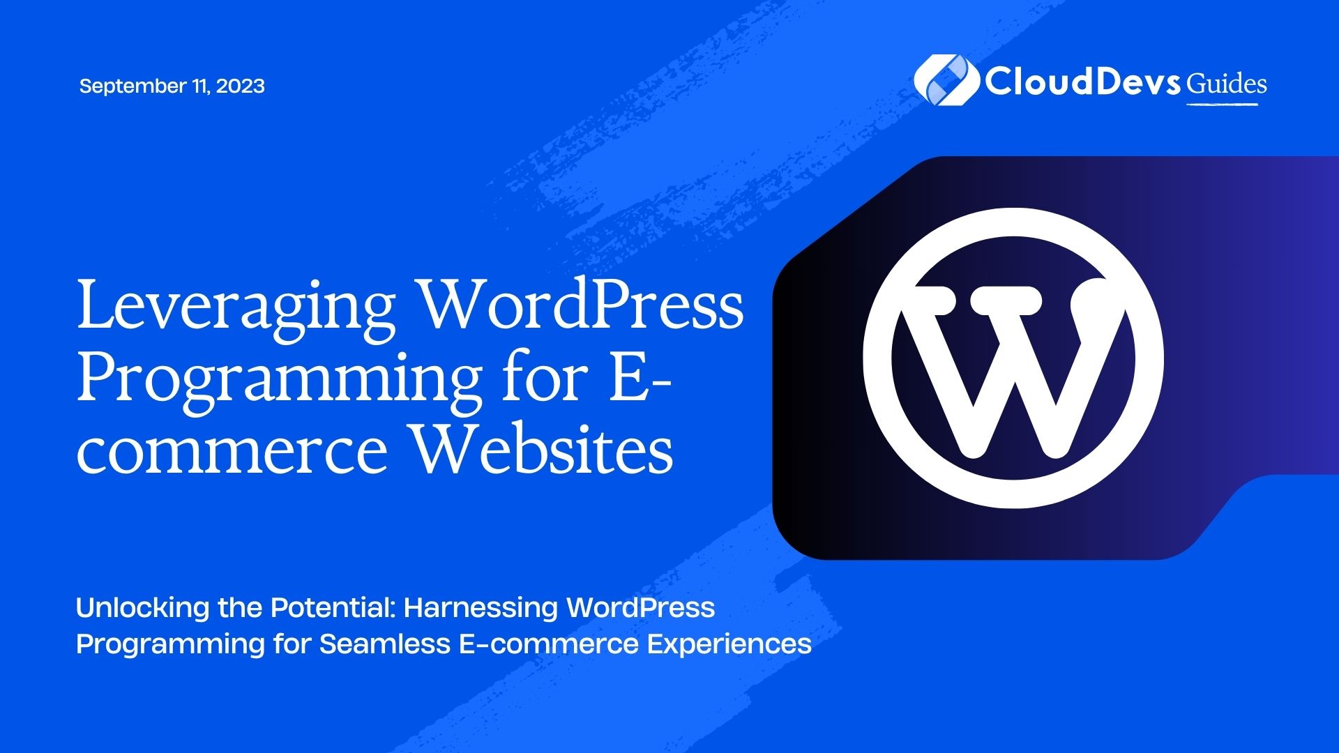 Leveraging WordPress Programming for E-commerce Websites