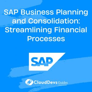 SAP Business Planning and Consolidation: Streamlining Financial Processes