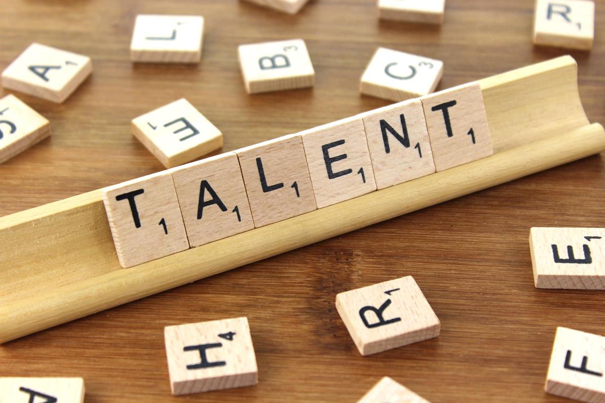 Talent Screening and Vetting