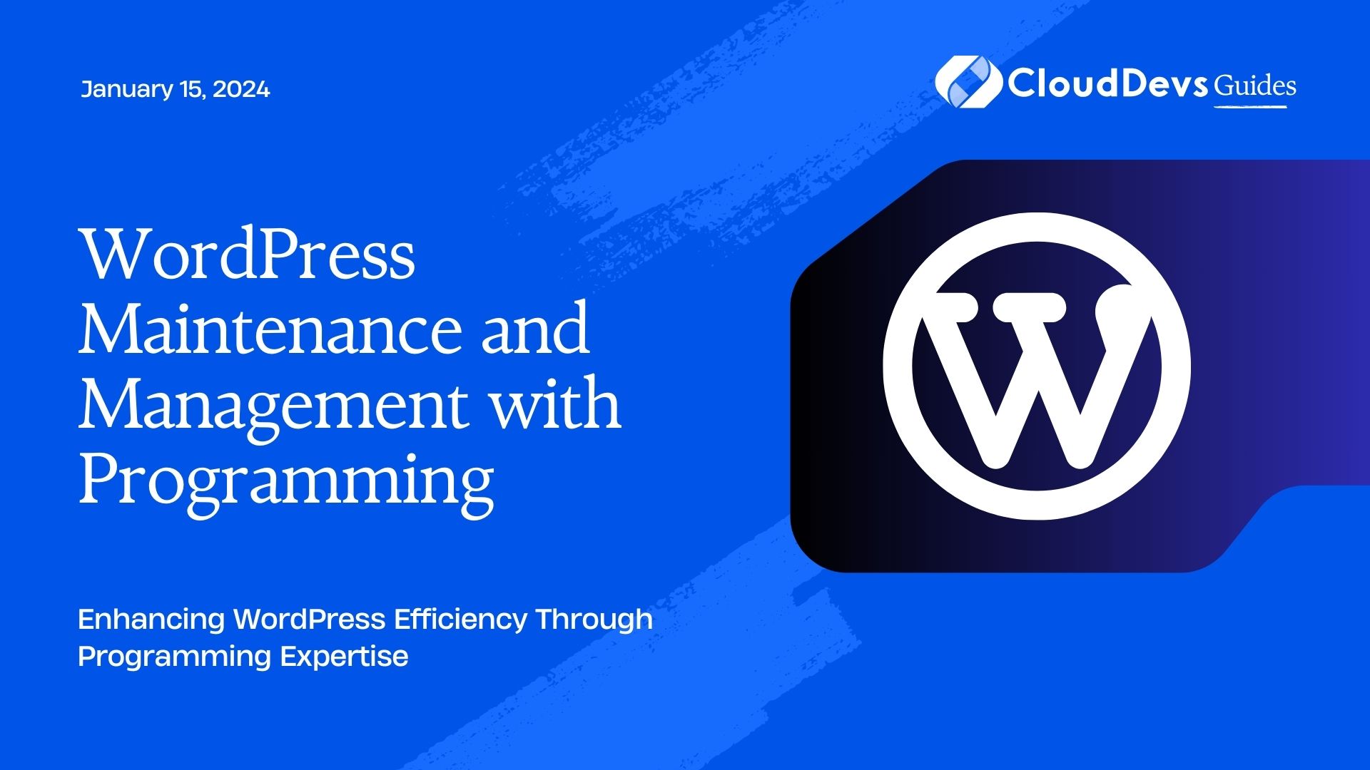 WordPress Maintenance and Management with Programming