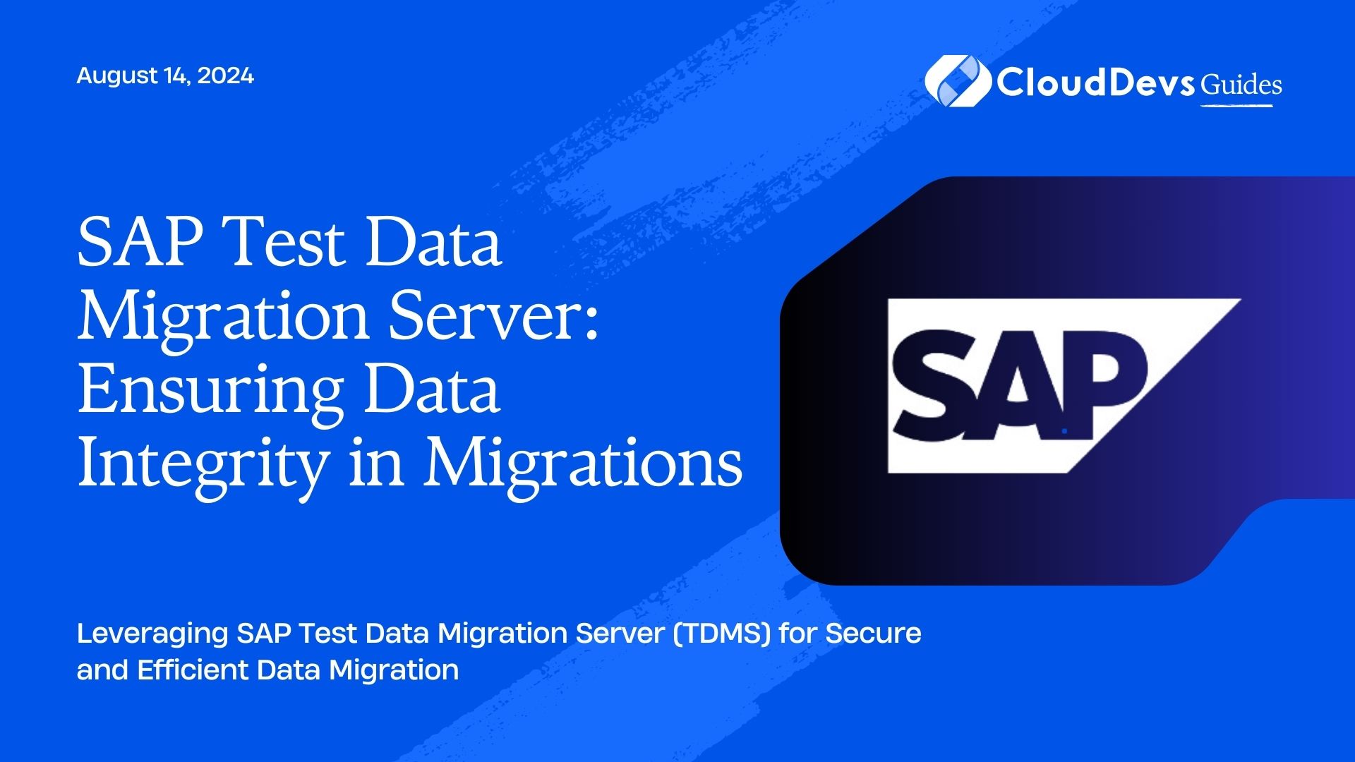 SAP Test Data Migration Server: Ensuring Data Integrity in Migrations